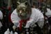 _MG_6710