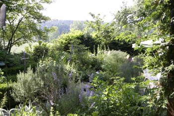 IMG_2801